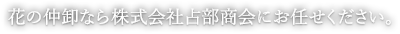 花の仲卸なら株式会社占部商会にお任せください。